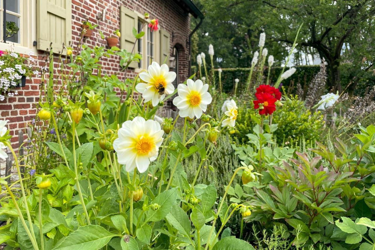 B&B De Paenhoeve Eksel Exterior photo